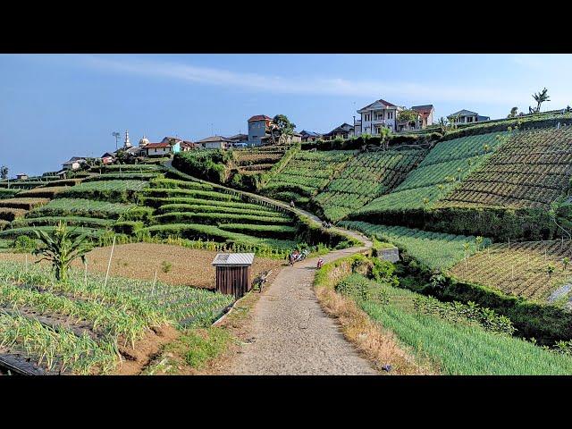 Virtual walk - Peace in the Village - Scenery for the Treadmill | DESAKU