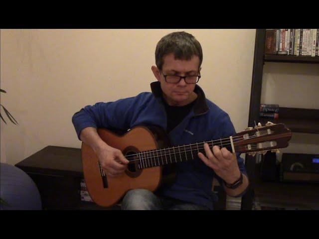 Oginski Polonaise - A Farewell to the Homeland - Guitar