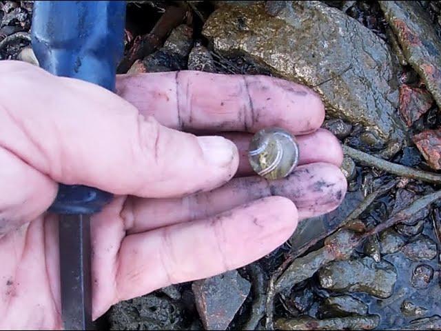 Mudlarking, trip 78, visiting the Great War location and finding a marble.