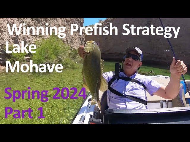 Mastering Lake Mohave: Unveiling Joe Michels' Winning Prefish Strategy - Part 1 #bassfishingarizona