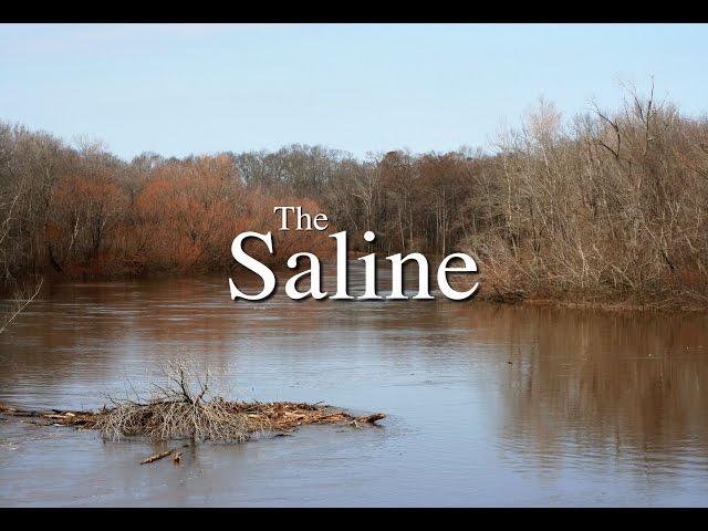 The Saline