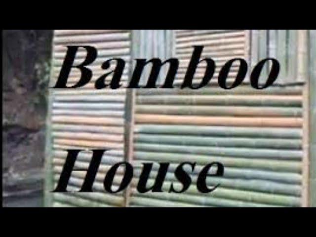 A Chinese Girl is making amazing Bamboo House 