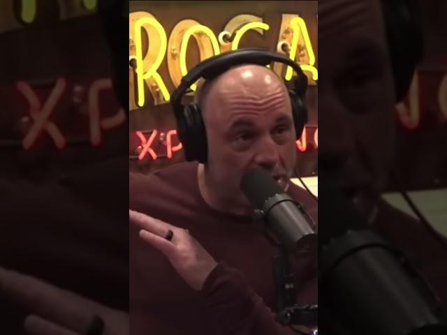 joe rogan speaking on micro plastics