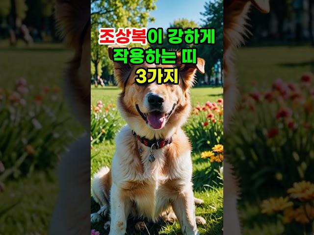 조상복이 강하게 작용하는 띠 3가지 #대운 #로또 #재물운 #풍수