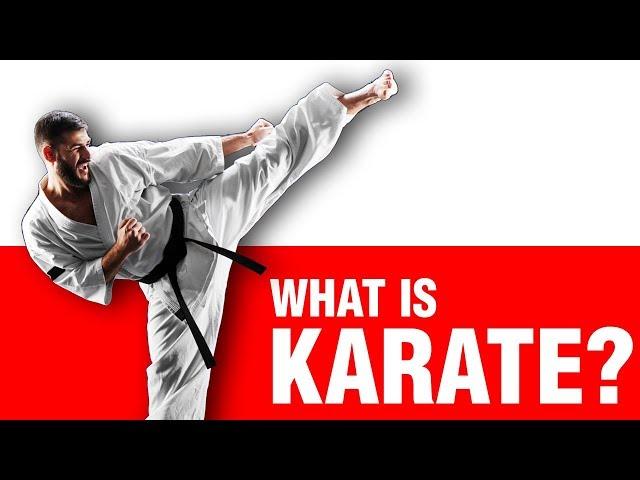 What is Karate? | ART OF ONE DOJO