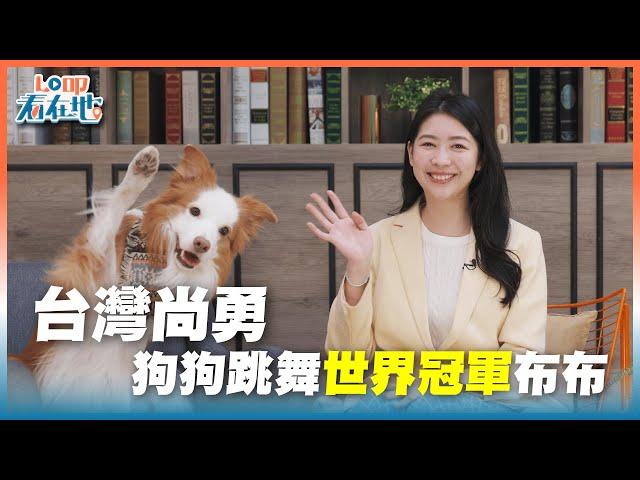 《LO叩看在地》台灣尚勇：狗狗跳舞世界冠軍布布