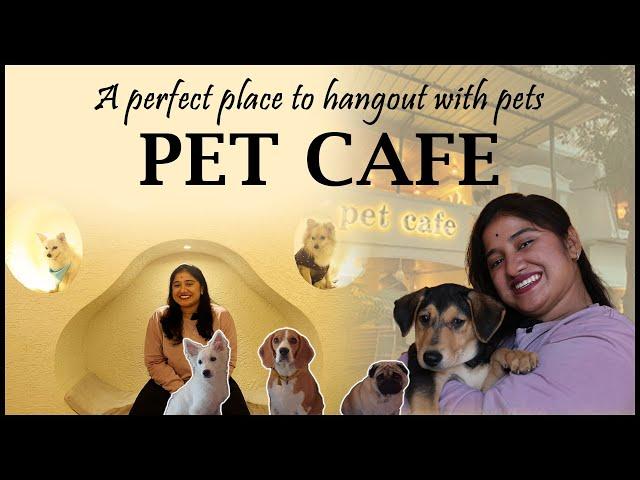 Pet Cafe Hyderabad | Purrfect Place For All The Pet Lovers With Pawsitive Vibes