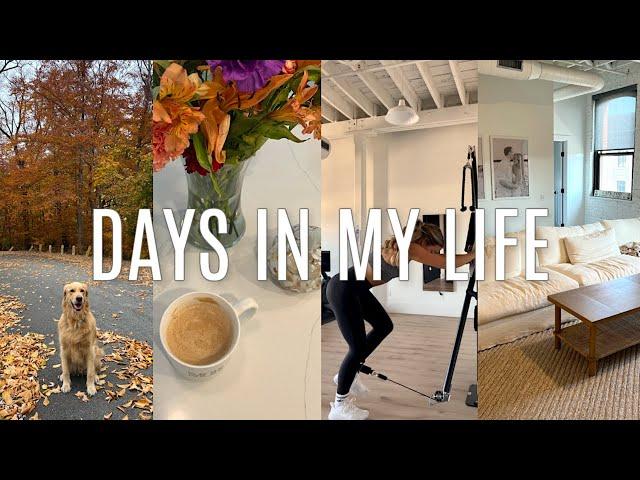 VLOG: furniture delivery, getting back into routine, cleaning, etc.