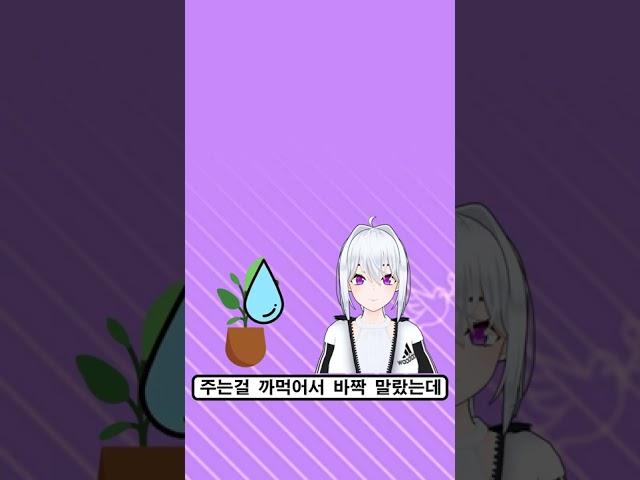 아이네 TMI 10가지 2