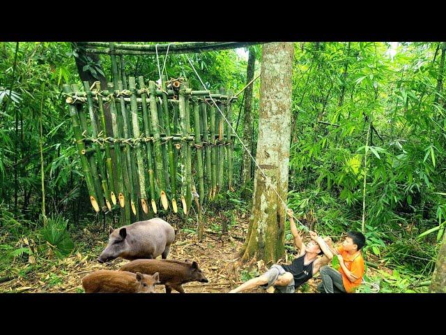 Giant Wild Boar Trap - Build a large bamboo trap cage wait for your prey. part 2