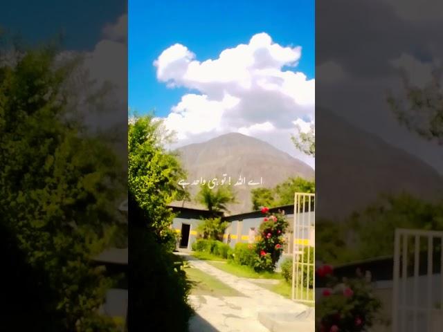 beauty beyond borders  #flowers #blossom  #Valley  #ilovetrees #treelove #oldtree #green #sky