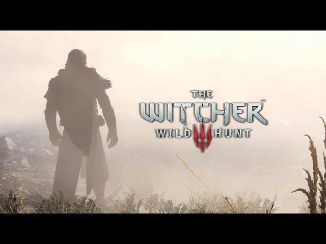 The Witcher 3: Wild Hunt "Zireael" [HD]