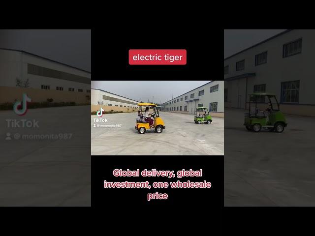 Made in China# Cheapest Car ，Global Delivery #New Energy Electric Vehicle #electric Vehicle#Follow