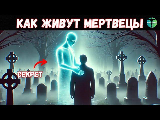 КАК ЖИВУТ УМЕРШИЕ? Тайны ЖИЗНИ после СМЕРТИ