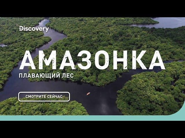 Амазонка: плавающий лес | Неизведанные острова | Discovery Channel