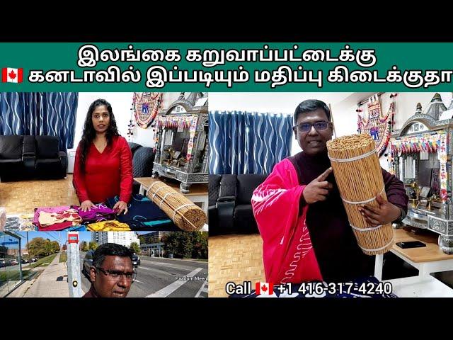 இலங்கை கறுவாப்பட்டைக்கு  கனடாவில் இப்படியும் மதிப்பு கிடைக்குதா | Paadummeen TamilVlog