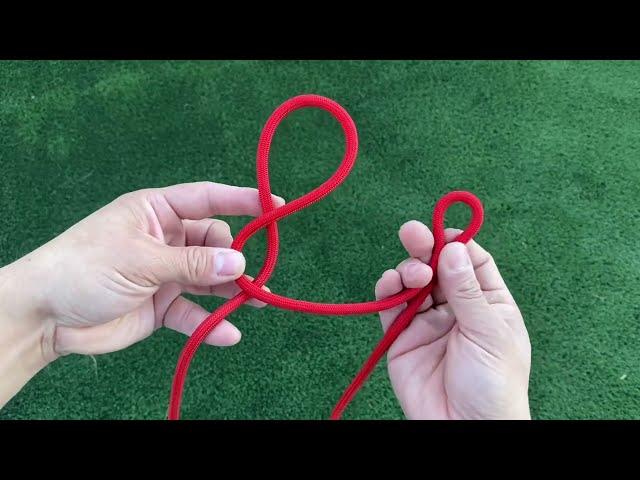 How to tie a leash and collar.