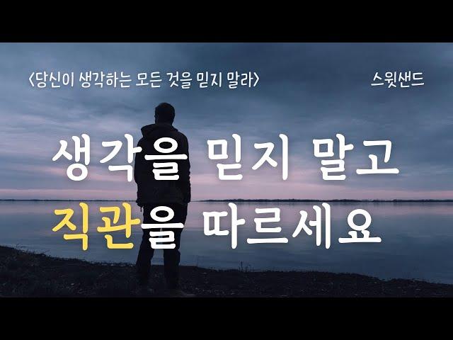 [자막] 직관을 따르면 어떤 일이 벌어질까요? / 당신이 생각하는 모든 것을 믿지 말라