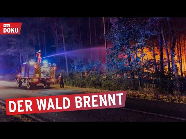 Wald in Flammen - Feuerwehr im Dauereinsatz | Die rbb Reporter | Doku & Reportage