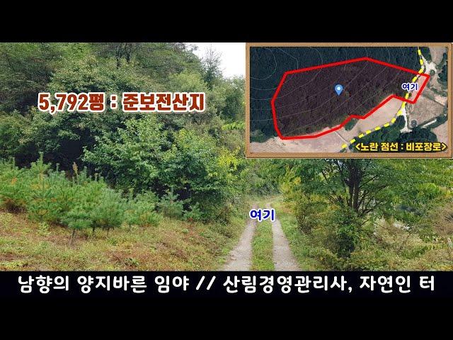 [영월임야 19,148㎡ // 8천5백만원]  평당 1만4천원, 남향의 양지바른 임야...