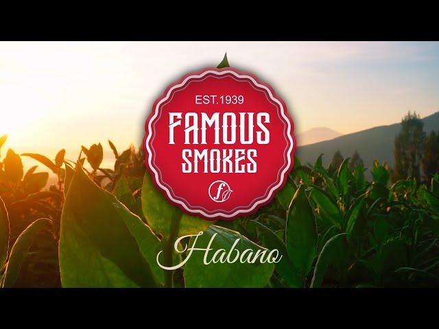 Famous Smokes Habano