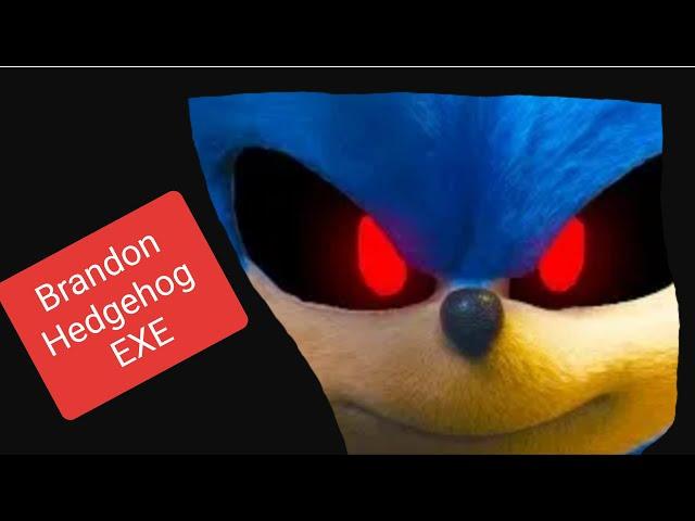 Brandon Hedgehog EXE
