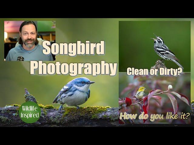 Songbird Photography - Clean or Dirty?