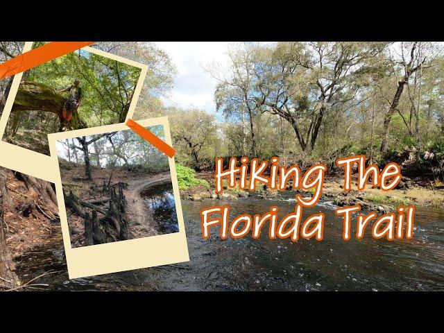 Top Florida Trail Hikes | Richloam Hiking Trail in Withlacoochee State Forest (Part One)