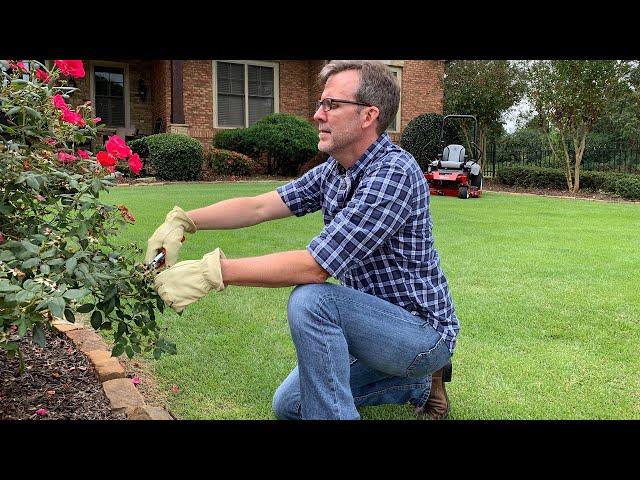 How to Select the Right Pruning Tool | Done-In-A-Weekend Projects: Cut it Out