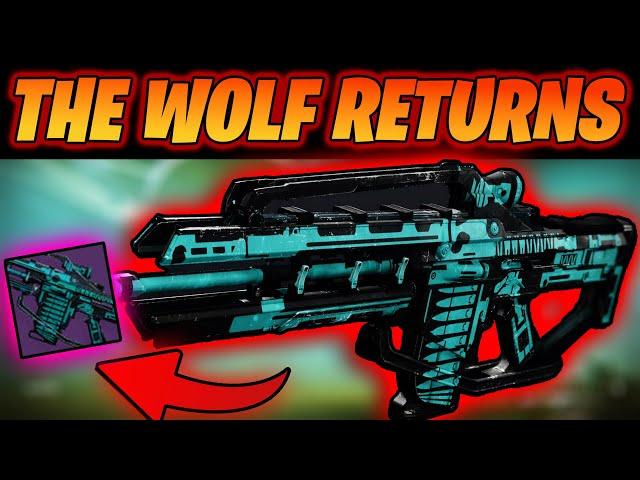 THE BRAYTECH WAREWOLF IS BACK? IS IT GOOD? DESTINY 2