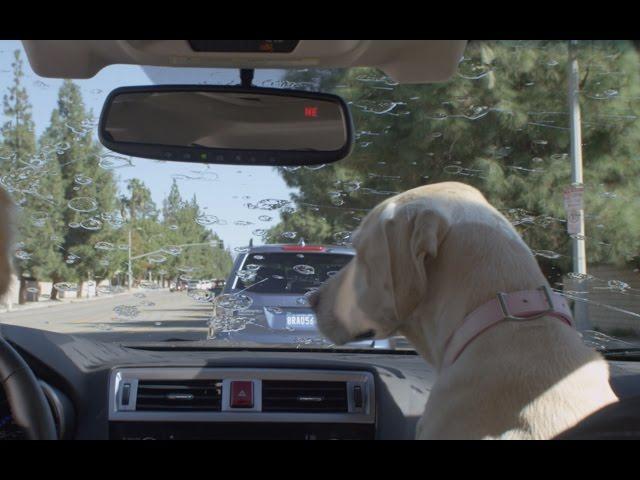 Windshield Wiper | Subaru Dog Tested TV Commercial