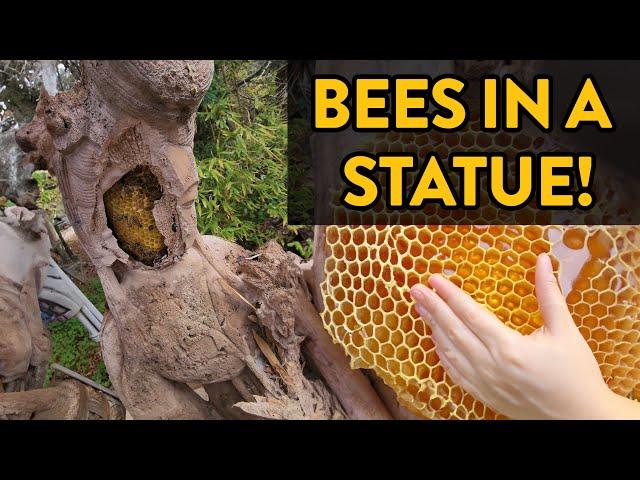 20k Bees Moved Into An Antique Statue