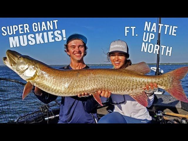 SUPER GIANT Minnesota Muskies!!! - Ft. Nattie Up North - Day 1