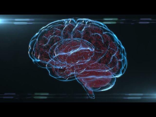 brain and neurons Free HD Stock Footage  6