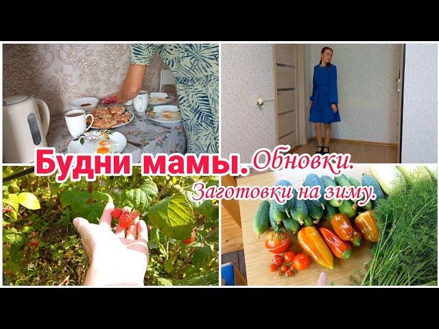 Будни мамы// Заготовки на зиму// Обновки одежды//