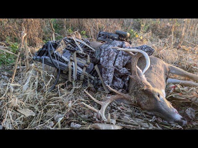 Filling Tags on a Cruising Iowa Buck!