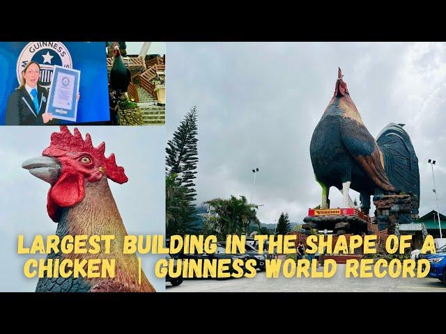 LARGEST BUILDING IN THE SHAPE OF A CHICKEN | ROOSTER-SHAPED HOTEL | GUINNESS WORLD RECORD