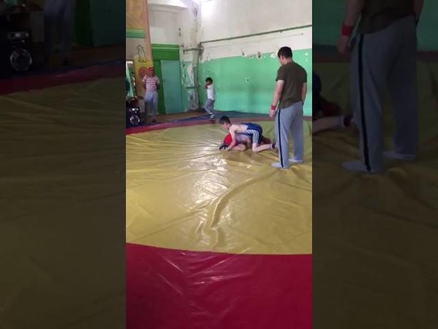 Вольная борьба