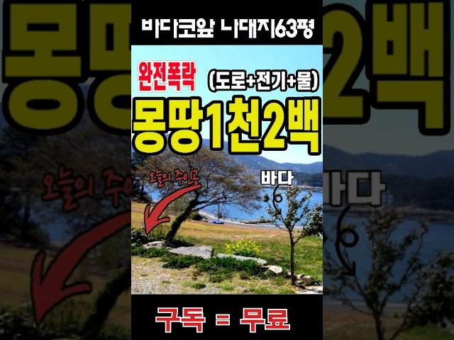 바다코앞 도로 전기 물 다 갖춘 나대지가 몽땅 1200만원