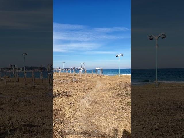  강원도 양양 정암해변에서 겨울 속 감성 뿜뿜!  #정암몽돌해변 #양양여행 #애견동반여행 #겨울바다 #힐링여행 #travelwithdog #WinterInKorea