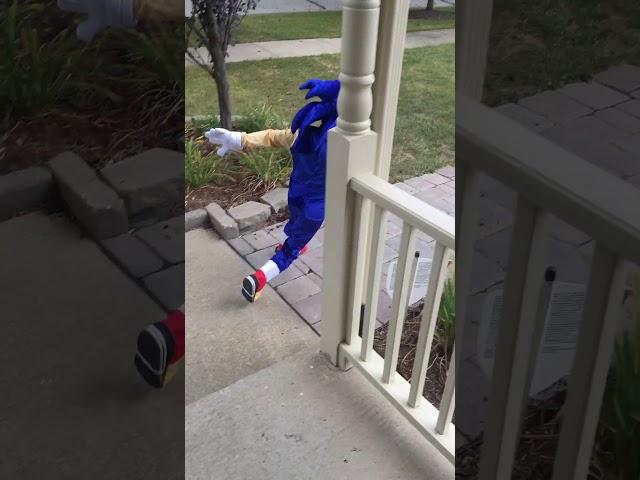 Sonic halloween costume