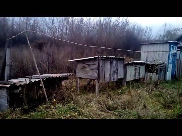Обзор моего двора-2.
