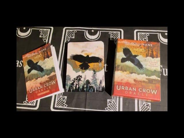 Urban Crow Oracle | Full Flip Through of Each Card