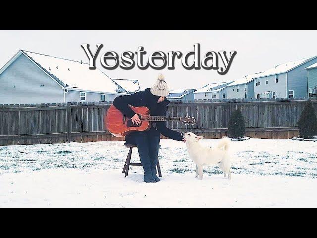 Yesterday - The Beatles (Jaehee & Jindo Dog 진돗개 Cover)