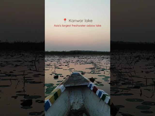 Kanwar lake | Asia's largest freshwater oxbow lake #bihar #begusarai  #oxbow #lake #trendingshorts
