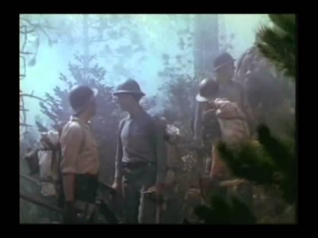 Red Skies of Montana (1952) - Charles Bronson.avi