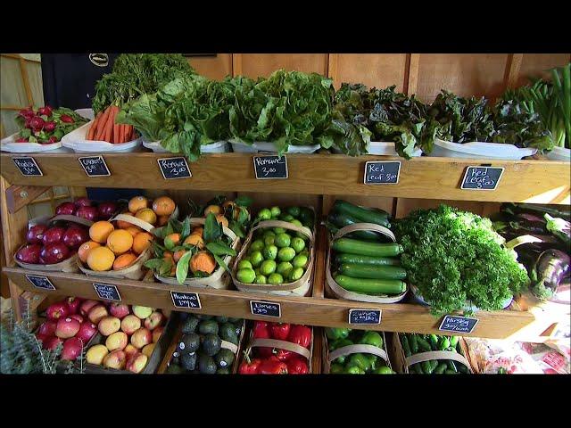 East End: Schmitt's Family Farm in Riverhead