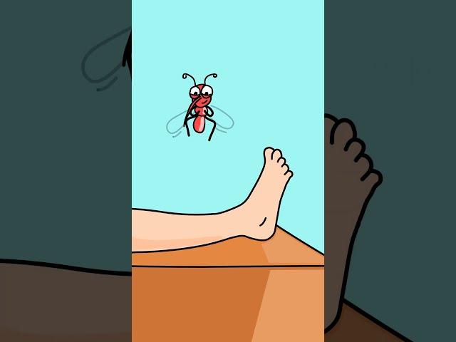 Mosquito Bite  | #shorts #animation #cartoon