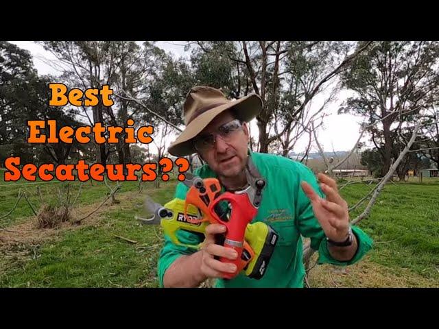 Electric Secateur Review. Best Electric Secateurs? Let's find out!