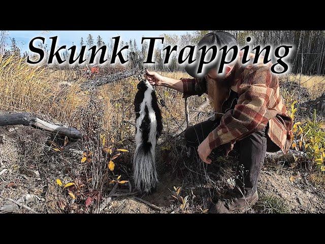 Early Season Skunk Trapping - Baited Pen Sets